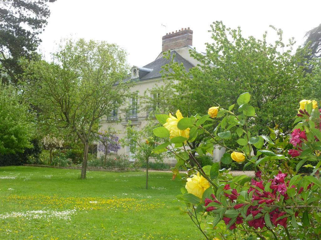 Bed and Breakfast Cedre Et Charme Saint-Branchs Екстер'єр фото