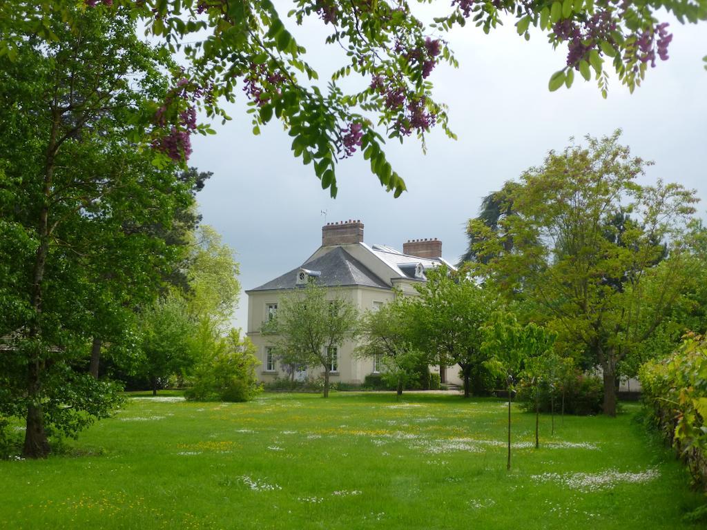 Bed and Breakfast Cedre Et Charme Saint-Branchs Екстер'єр фото