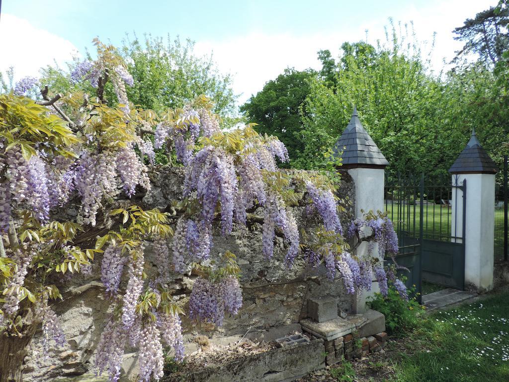 Bed and Breakfast Cedre Et Charme Saint-Branchs Екстер'єр фото